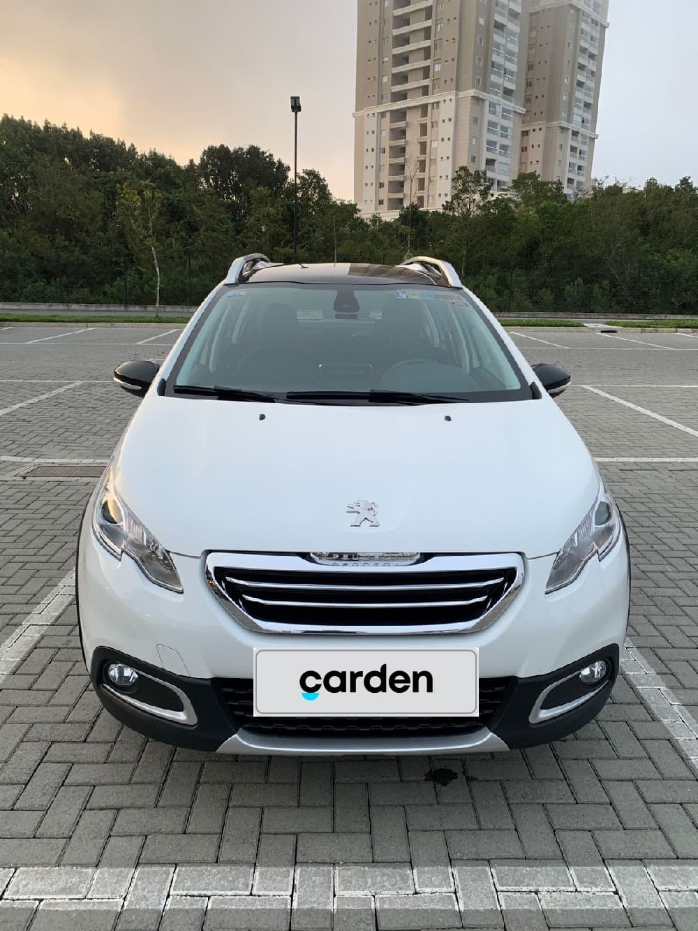 Peugeot 2008 2019