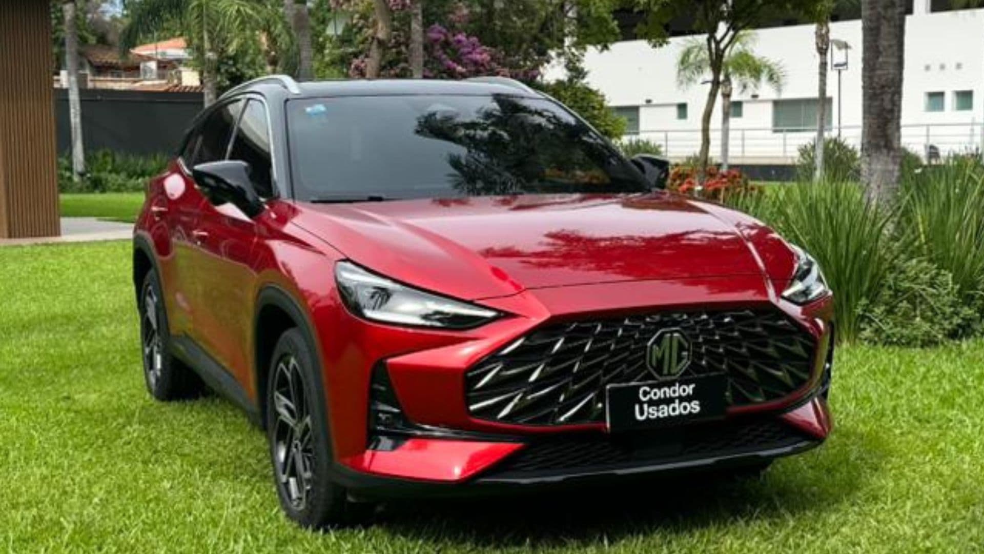 Mg – One Trophy 2025