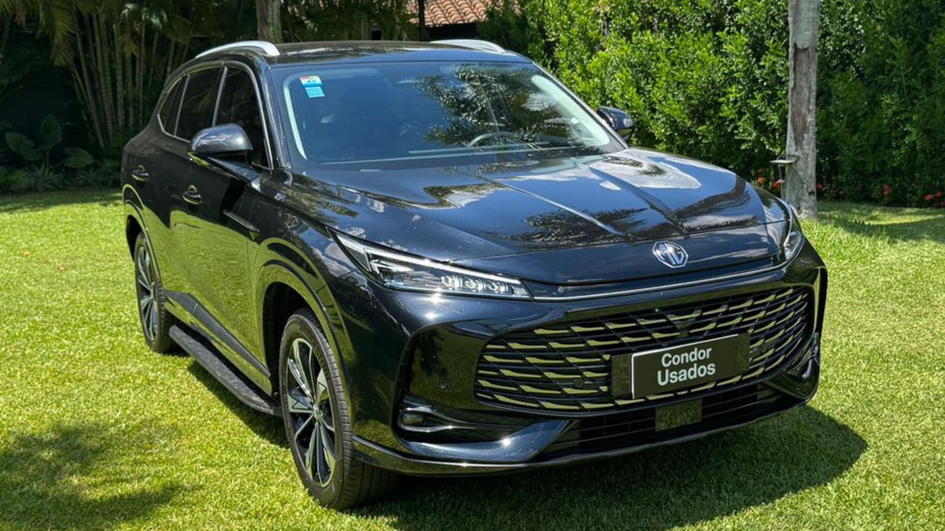 Mg – Ehs Phev 2025