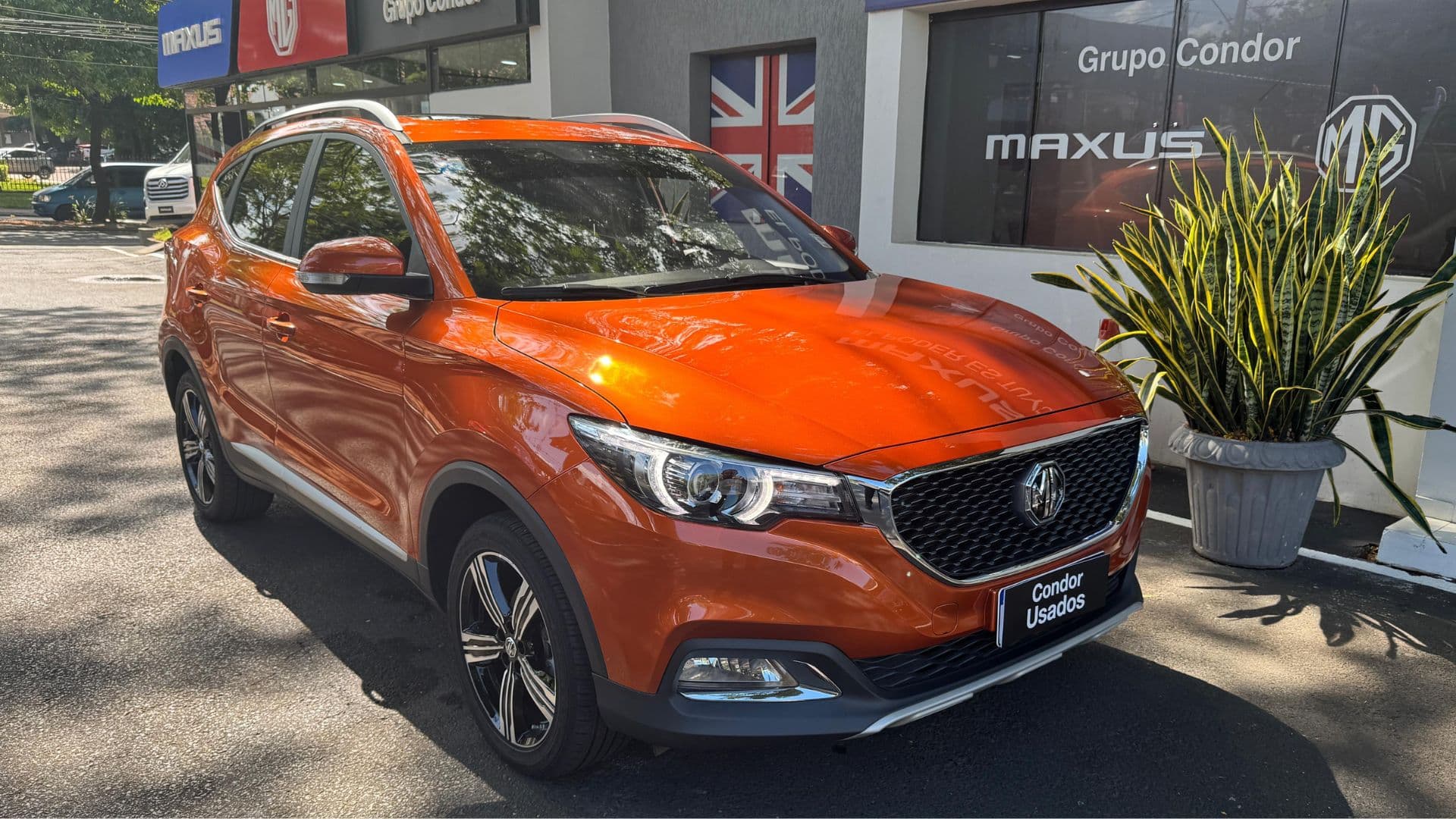 Mg – Zs 2025