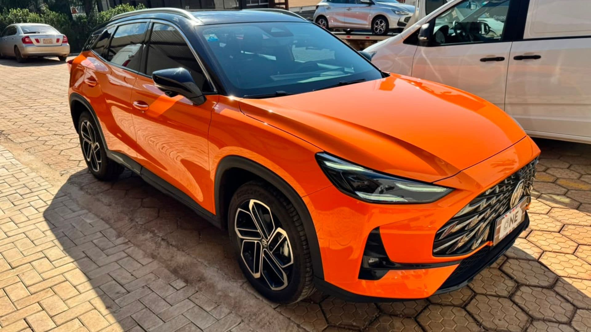 Mg – One Trophy 2025