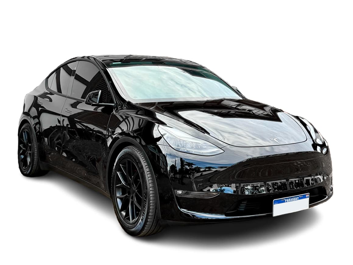 Tesla Model Y Performance 2022