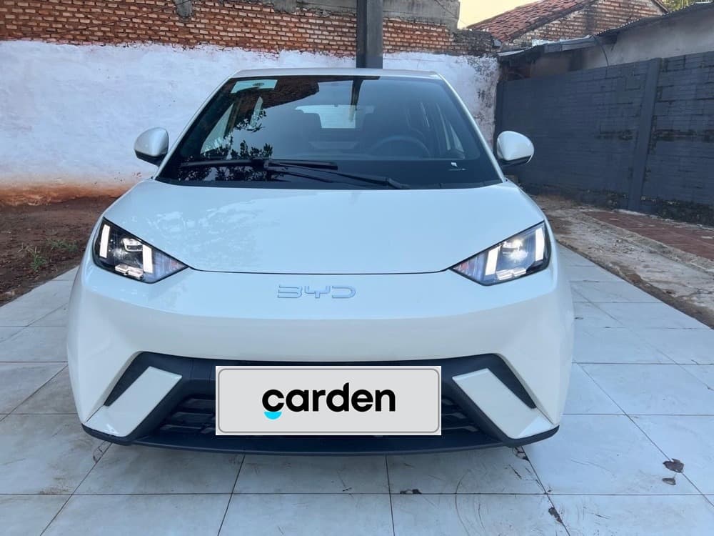 Byd Seagull 2024 2024