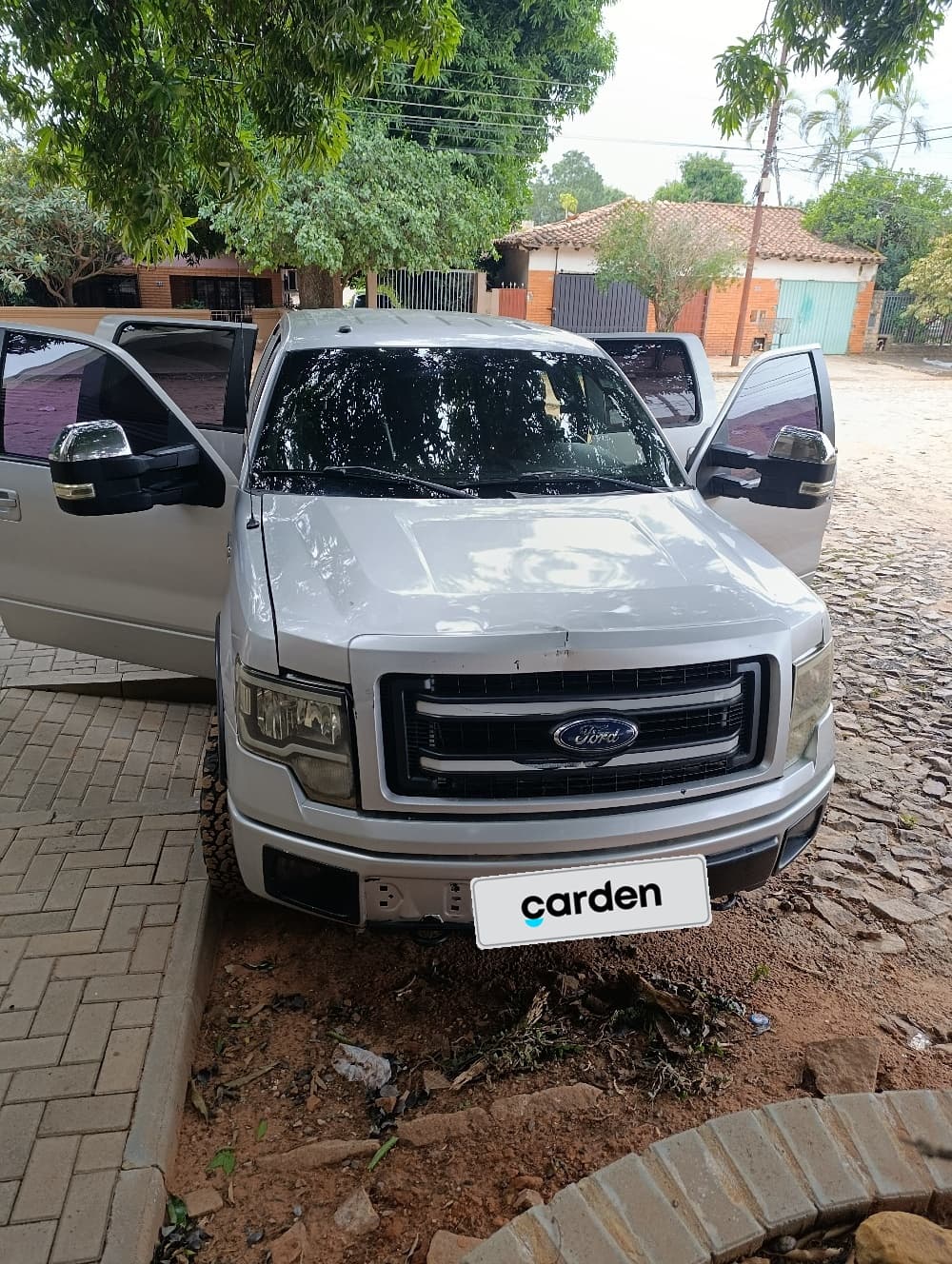 Ford F 150 2010