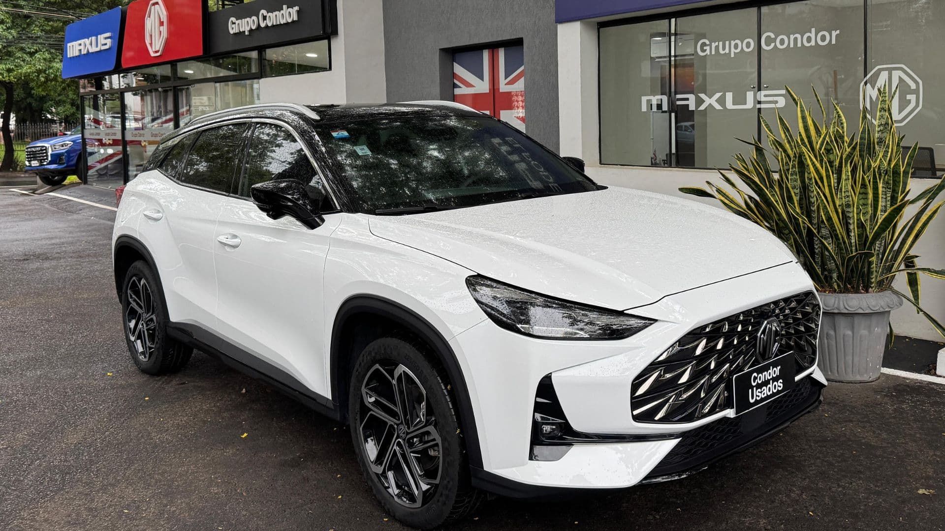 Mg – One Trophy 2025