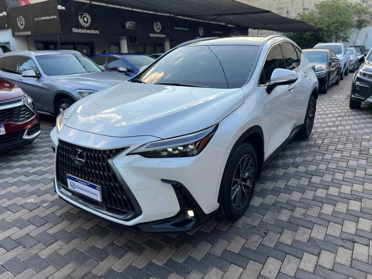 Lexus Nx 300H 2024